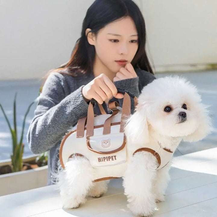 PetVoyager™