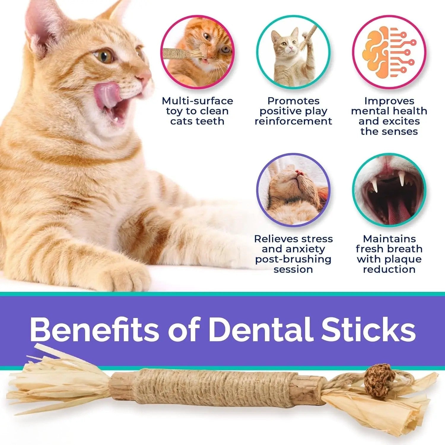 Catnip Matatabi Chew Sticks | Natural Silvervine Cat Toy | Wooden Cat Snacks for Teeth Cleaning | Cat Chew Toy Promotes Digestion | Safe Catnip Toy for Kittens