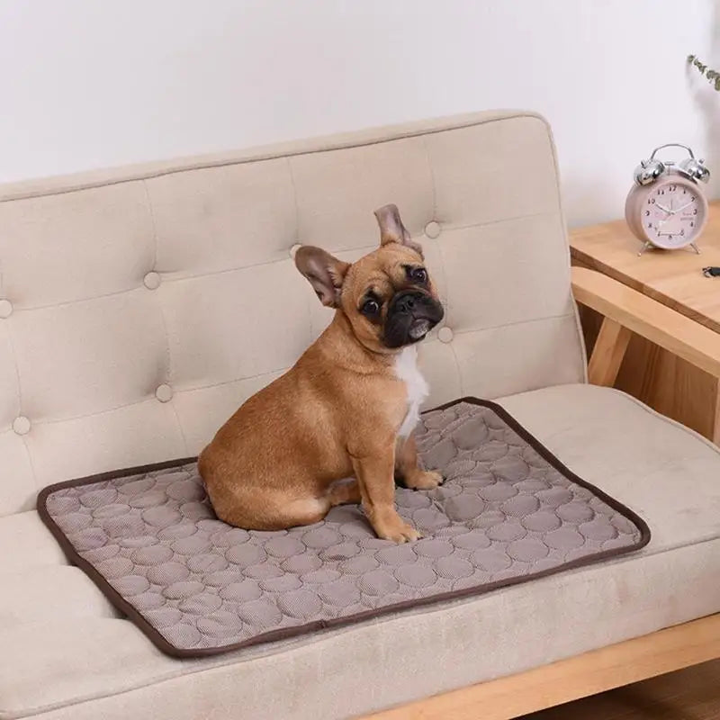 Cooling Dog Mat | Summer Pet Bed | Breathable Washable CoolCore Pad | Sofa Blanket for Dogs and Cats | Puppystar Cooling Pet Bed