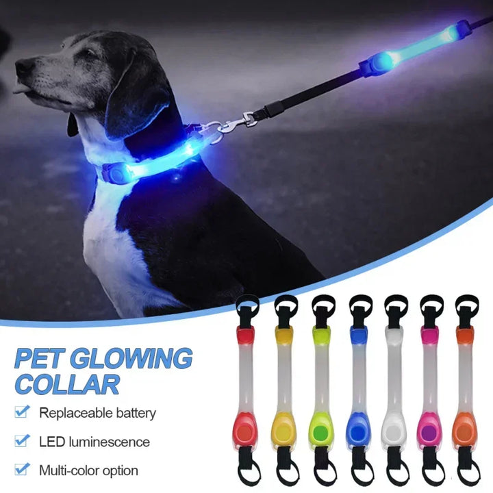 Waterproof LED Dog Collar | Flashing Glow Safety Collar | Night Visibility Anti-Lost Dog Accessory | Outdoor Light Strip