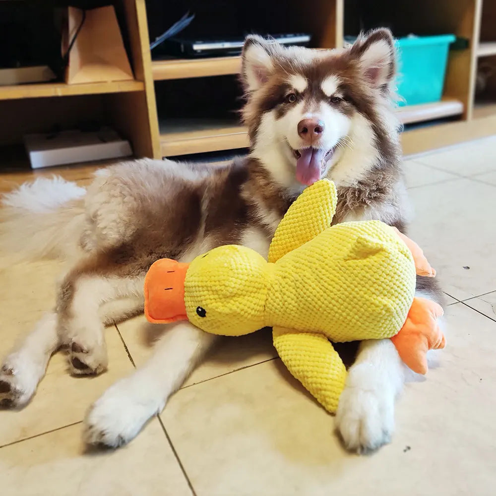 Interactive Dog Toy | Stomping Duck Plush Toy | Bite-Resistant Chew Toy for Large Dogs | Teeth Cleaning & Puppy Entertainment