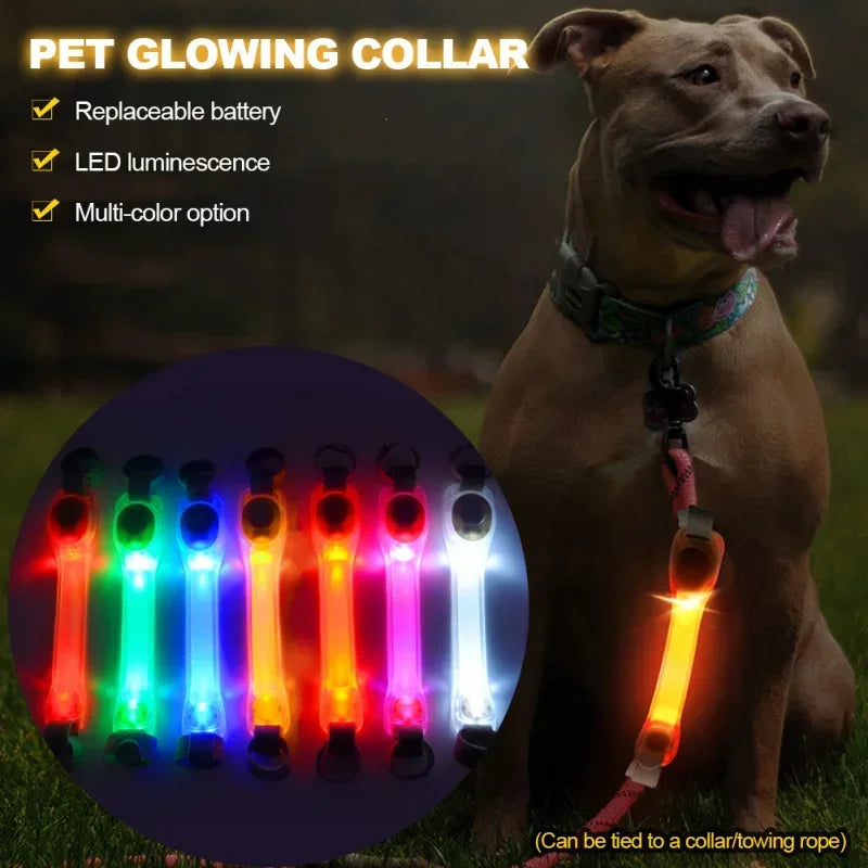 Waterproof LED Dog Collar | Flashing Glow Safety Collar | Night Visibility Anti-Lost Dog Accessory | Outdoor Light Strip