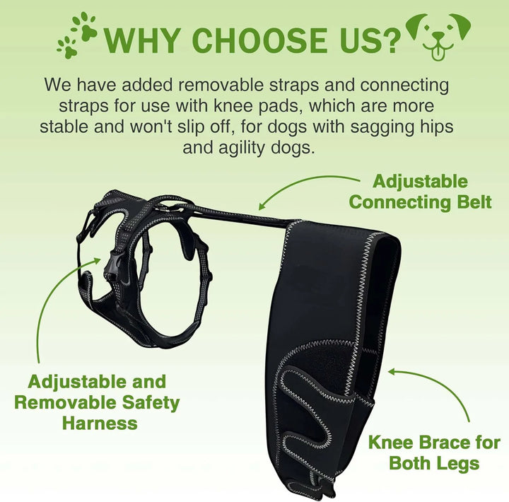 Dog Knee Brace with Metal Hinged Support | Adjustable Dog Leg Brace | ACL & Patella Injury Support | Arthritis Pain Relief | Leather Joint Stabilizer for Dogs