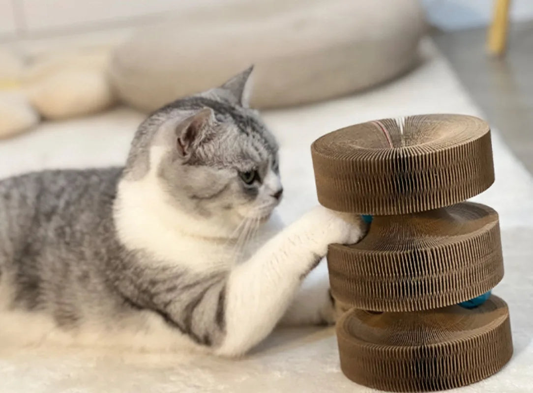 Cat Scratch Board Toy with Bell | Foldable Accordion Cat Scratcher | Recyclable Corrugated Paper Cat Toy | Interactive Climbing Frame for Kittens | Cat Furniture Protector