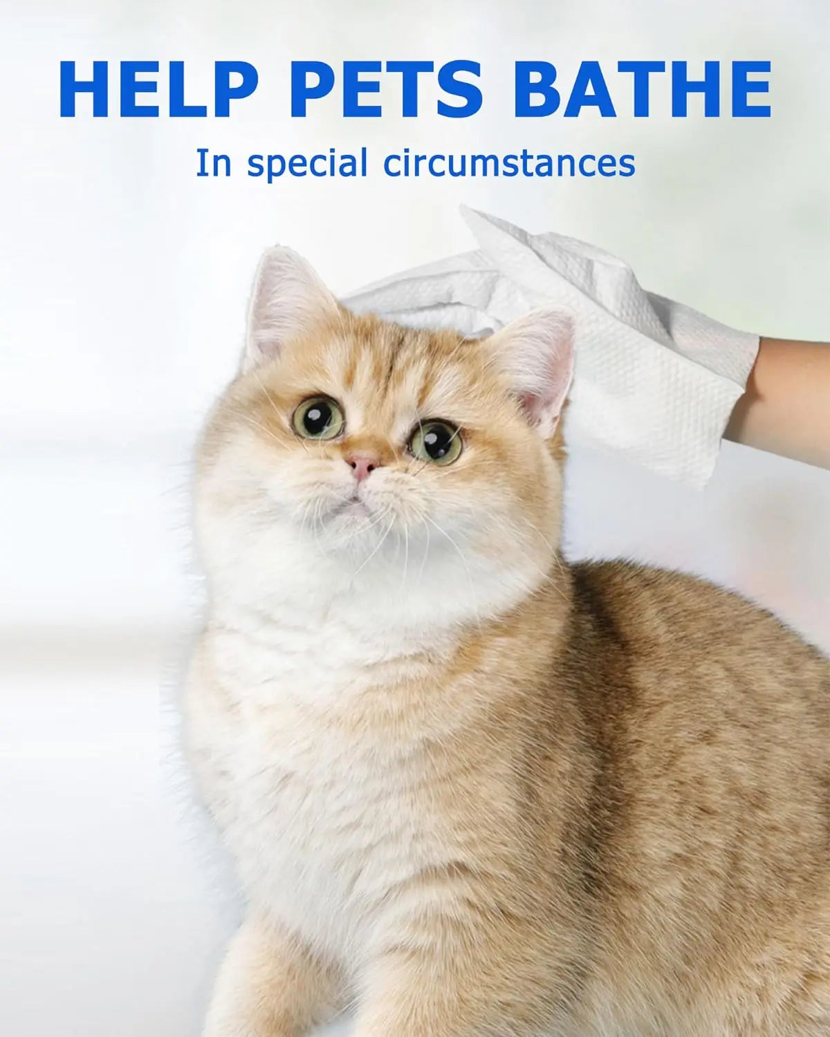 Pet Cleaning Wipes Gloves | Dog and Cat Bathing Wipes | Deodorizing Grooming Wipes for Paws Body and Butt | Daily Pet Hygiene Care