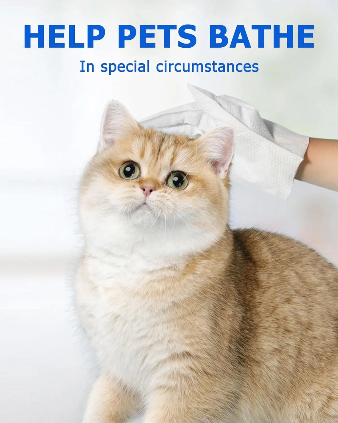 Pet Cleaning Wipes Gloves | Dog and Cat Bathing Wipes | Deodorizing Grooming Wipes for Paws Body and Butt | Daily Pet Hygiene Care