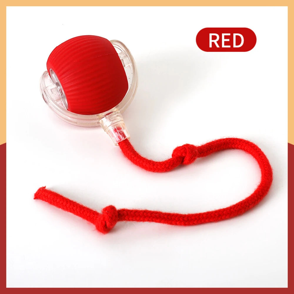 Automatic Rolling Smart Cat Ball | USB Rechargeable Interactive Toy | Tail Lamp for Night Play | PC Silicone Durable Pet Ball | Dog Cat Entertainment Toy