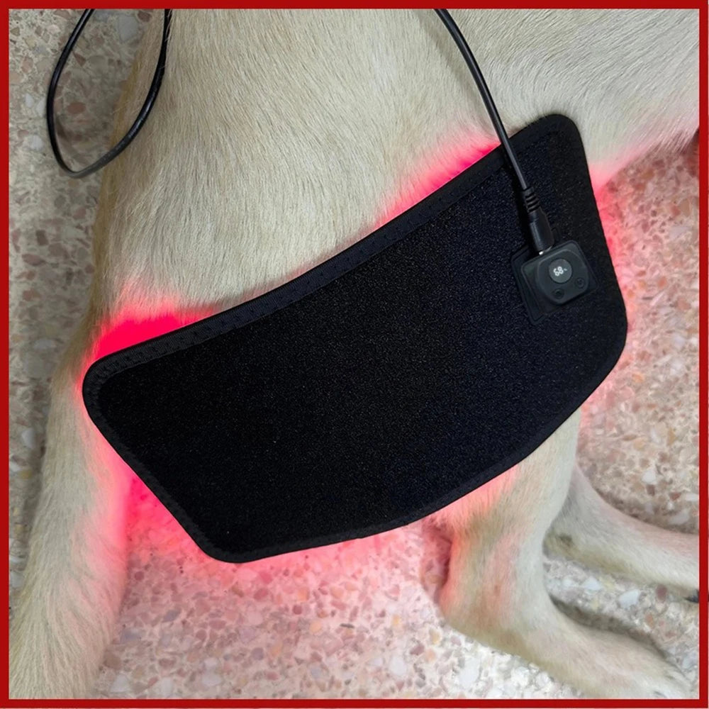 LED Red Light Therapy Belt | 660nm 850nm Infrared Pad for Pain Relief | Waist Back Abdomen Knees Wrists Joints | Muscle Recovery & Slimming Therapy