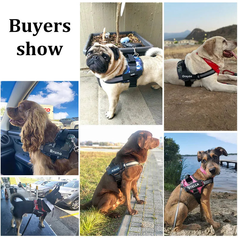 No-Pull Reflective Dog Harness | Breathable Nylon Pet Vest | Small & Large Dogs | Outdoor Walking & Training Accessories