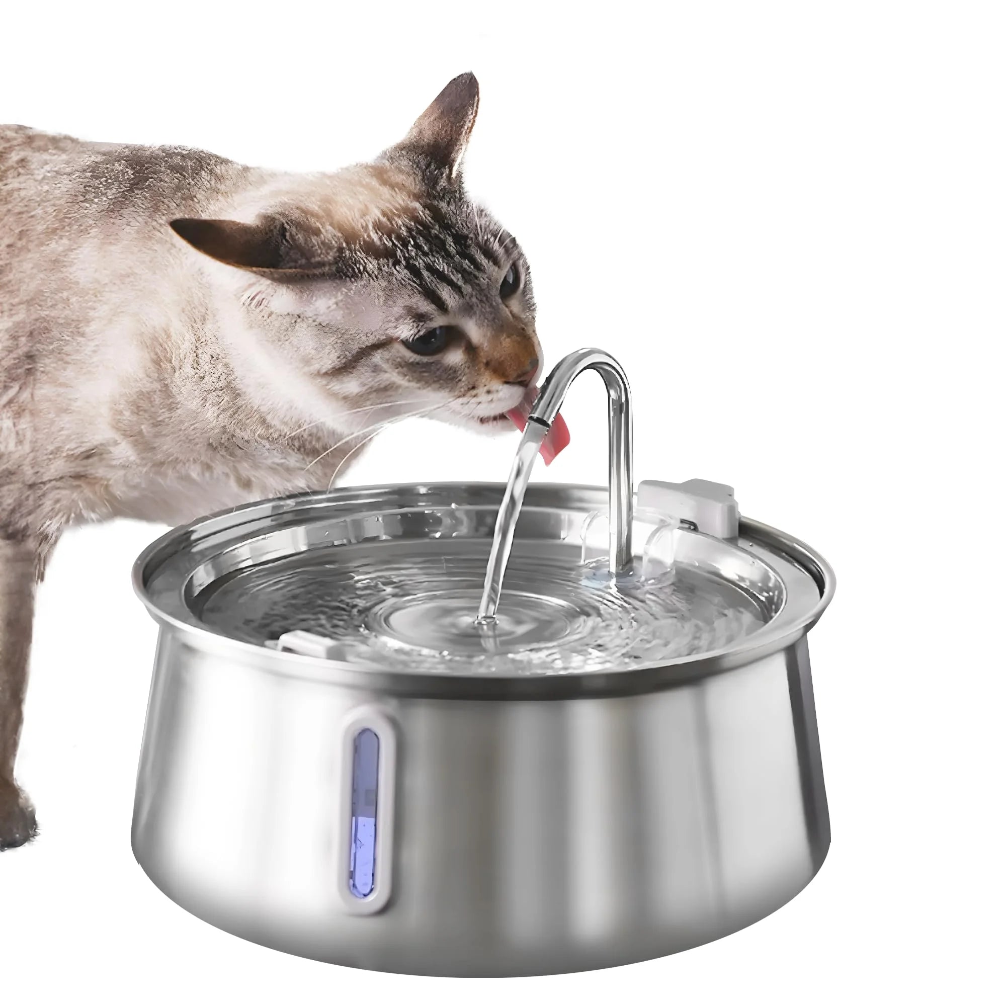 Stainless Steel Automatic Pet Drinking Fountain | Ultra-Quiet Cat Dog Water Dispenser | Rechargeable Pet Fountain with Viewing Window | Hydration for Cats and Dogs