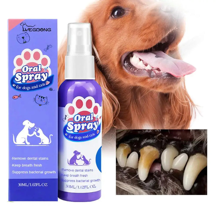 Pet Oral Care Spray | Dog Breath Freshener | Teeth Cleaning Spray | 30ml Pet Deodorant | Plaque Remover | Oral Hygiene for Dogs | Fresh Breath Spray