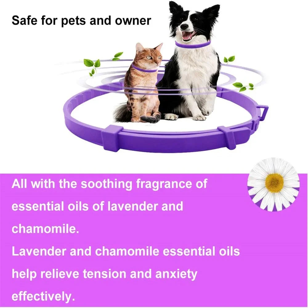 Pet Calming Collar | Anxiety-Reducing Pheromone Collar for Cats & Dogs | Adjustable & Slip-On | Natural Relaxation Solution | Nylon Collar