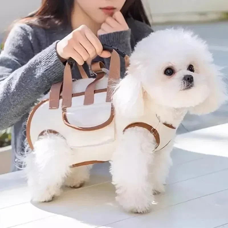 Outdoor Pet Carrying Bag