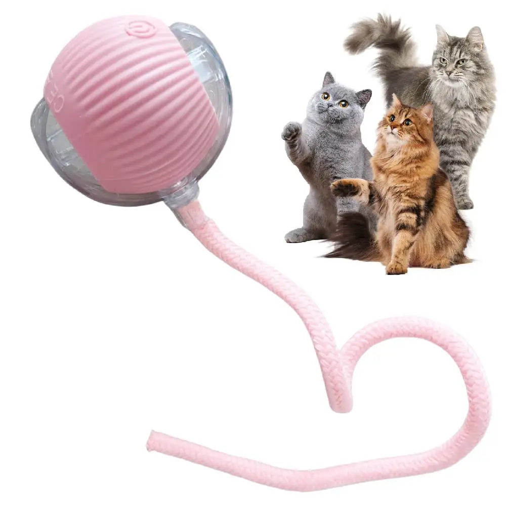 Automatic Rolling Smart Cat Ball | USB Rechargeable Interactive Toy | Tail Lamp for Night Play | PC Silicone Durable Pet Ball | Dog Cat Entertainment Toy