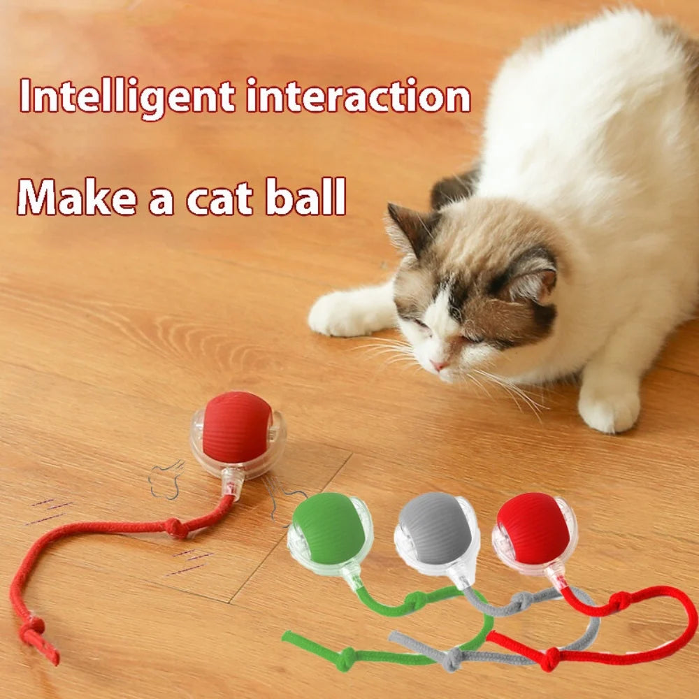 Automatic Rolling Smart Cat Ball | USB Rechargeable Interactive Toy | Tail Lamp for Night Play | PC Silicone Durable Pet Ball | Dog Cat Entertainment Toy