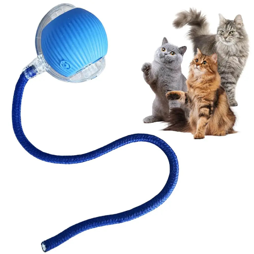 Automatic Rolling Smart Cat Ball | USB Rechargeable Interactive Toy | Tail Lamp for Night Play | PC Silicone Durable Pet Ball | Dog Cat Entertainment Toy