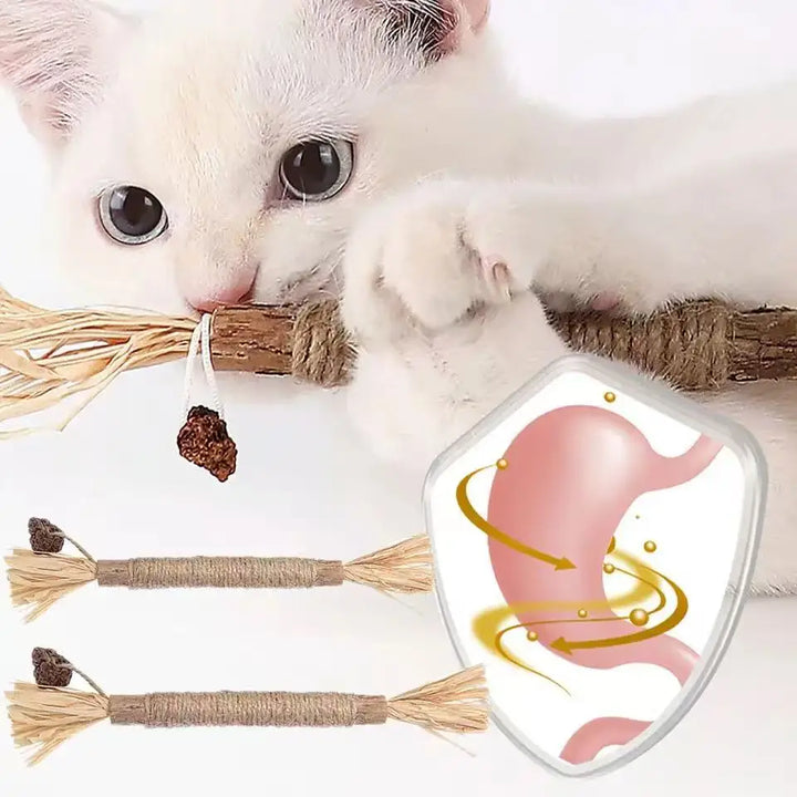 Catnip Matatabi Chew Sticks | Natural Silvervine Cat Toy | Wooden Cat Snacks for Teeth Cleaning | Cat Chew Toy Promotes Digestion | Safe Catnip Toy for Kittens