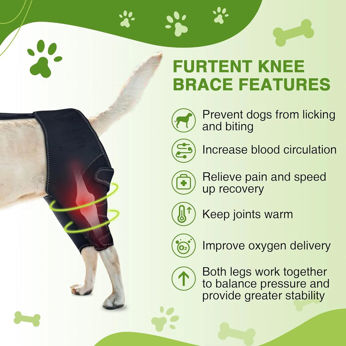 Dog Knee Brace with Metal Hinged Support | Adjustable Dog Leg Brace | ACL & Patella Injury Support | Arthritis Pain Relief | Leather Joint Stabilizer for Dogs
