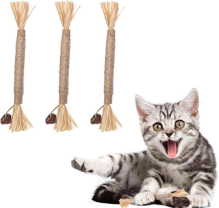 Catnip Matatabi Chew Sticks | Natural Silvervine Cat Toy | Wooden Cat Snacks for Teeth Cleaning | Cat Chew Toy Promotes Digestion | Safe Catnip Toy for Kittens