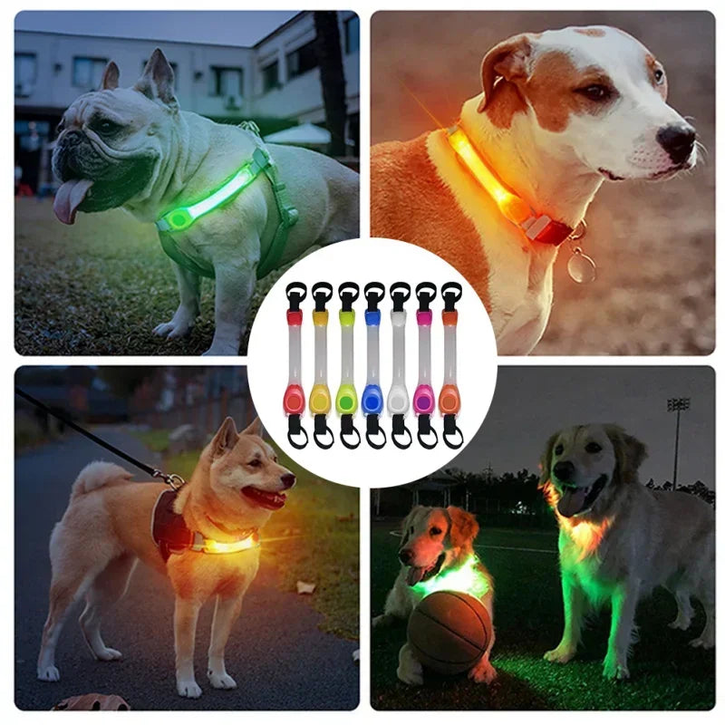 Waterproof LED Dog Collar | Flashing Glow Safety Collar | Night Visibility Anti-Lost Dog Accessory | Outdoor Light Strip