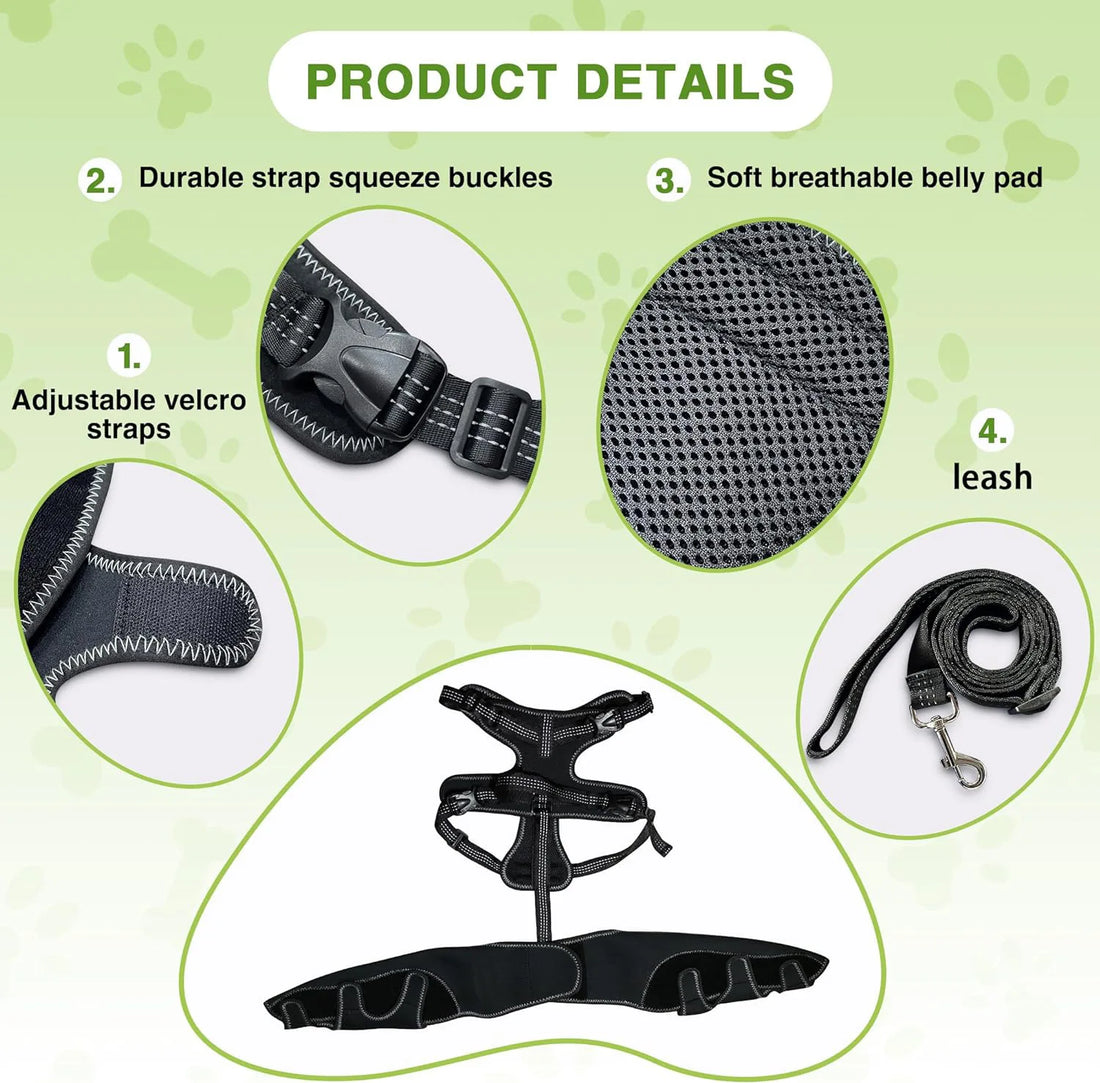 Dog Knee Brace with Metal Hinged Support | Adjustable Dog Leg Brace | ACL & Patella Injury Support | Arthritis Pain Relief | Leather Joint Stabilizer for Dogs