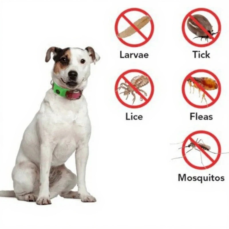 Natural Anti-Flea & Tick Pet Collar | Essential Oils Flea Repellent | Adjustable Dog & Cat Collar | Safe, Non-Toxic Pest Protection