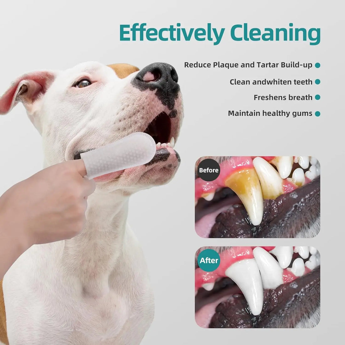Pet Dental Finger Wipes | Disposable Teeth Cleaning Pads for Dogs & Cats | Freshens Breath | Removes Plaque & Tartar | Gentle Oral Care for Pets