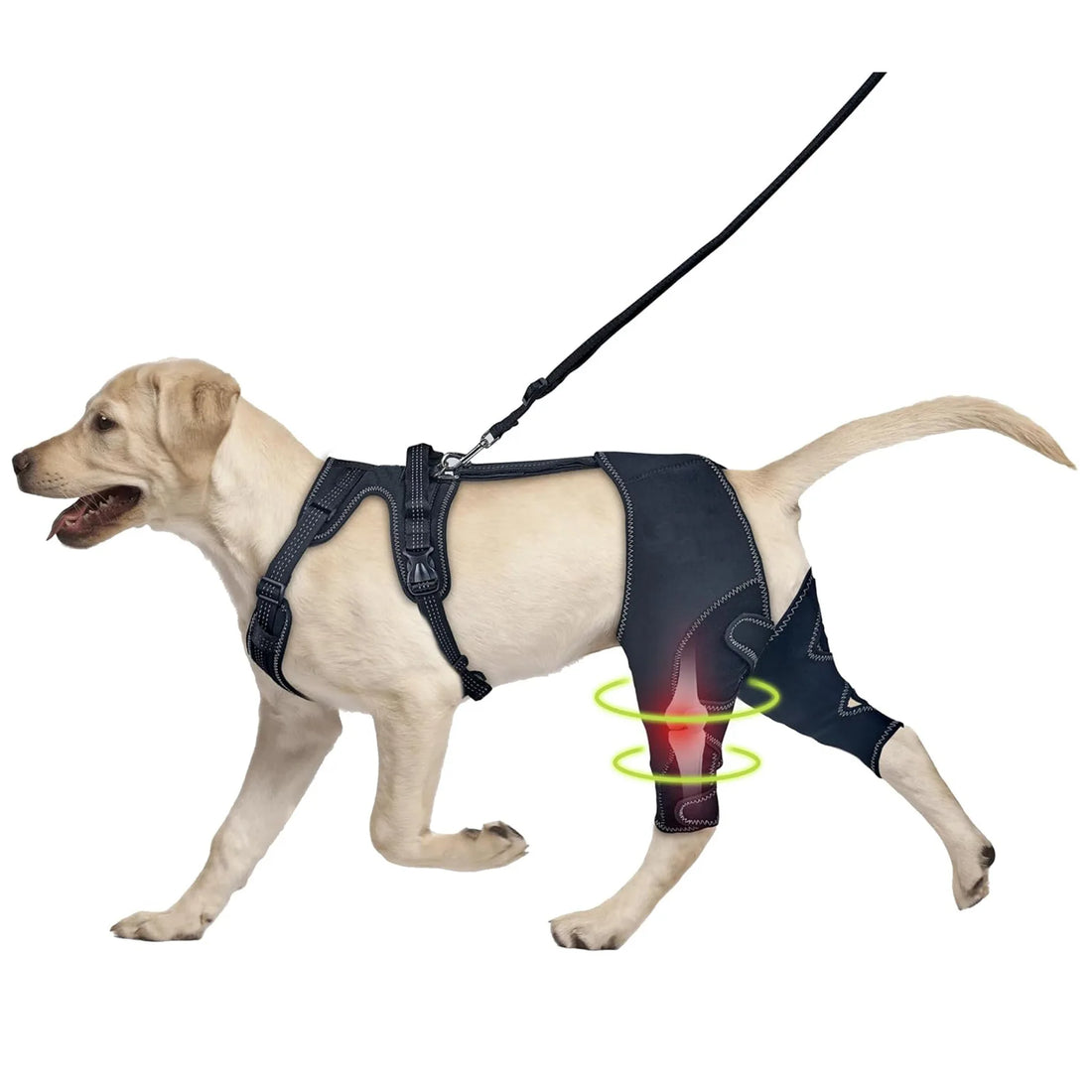 Dog Knee Brace with Metal Hinged Support | Adjustable Dog Leg Brace | ACL & Patella Injury Support | Arthritis Pain Relief | Leather Joint Stabilizer for Dogs