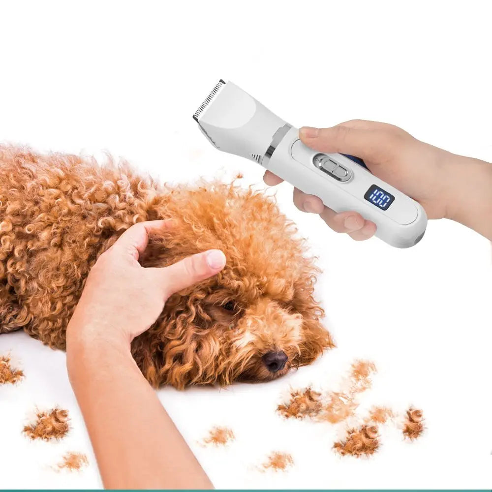 PawEdge™ 4-in-1 Groomer