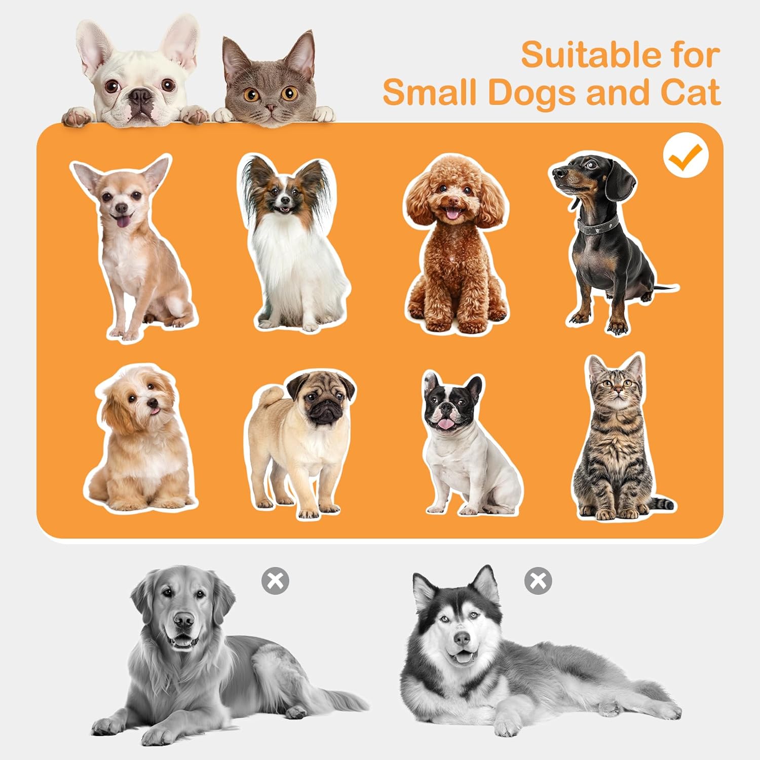 Lap VIP™ 3-in-1 Pet Ramp, Chair & Storage