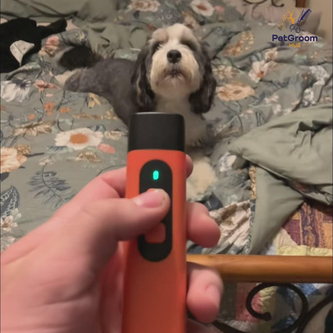 Ultrasonic Anti-Bark Device for Dogs