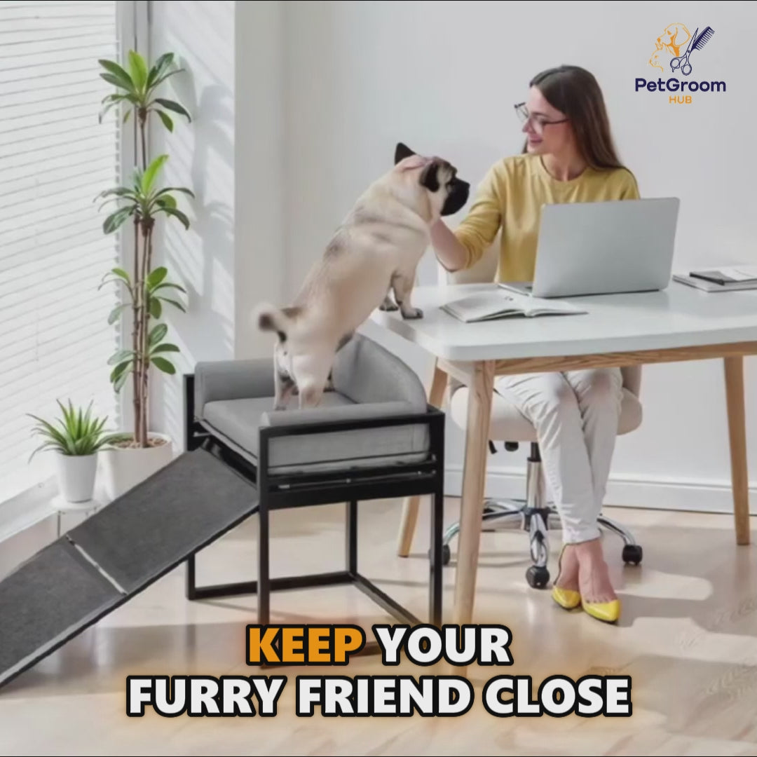 Lap VIP™ 3-in-1 Pet Ramp, Chair & Storage